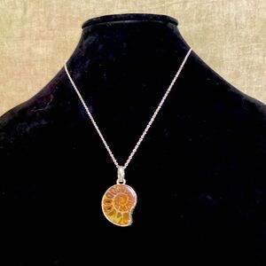 💖Real Ammonite Fossil 925 Stamped Necklace.